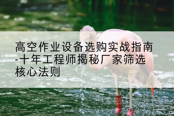 藤县剪叉式升降机厂家-高空作业设备选购实战指南-十年工程师揭秘厂家筛选核心法则