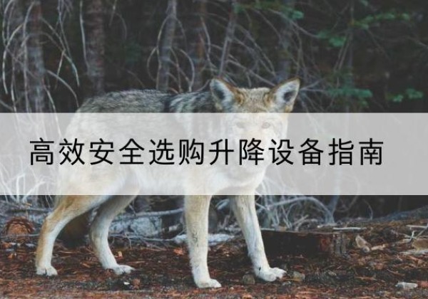 藤县升降货梯厂家推荐-*安全选购升降设备指南