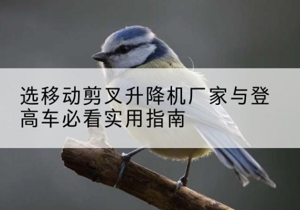 藤县电动升降机厂家-选移动剪叉升降机厂家与登高车必看实用指南