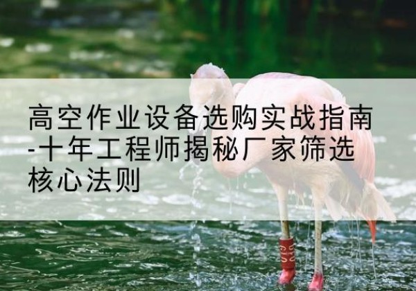藤县剪叉式升降机厂家-高空作业设备选购实战指南-十年工程师揭秘厂家筛选核心法则